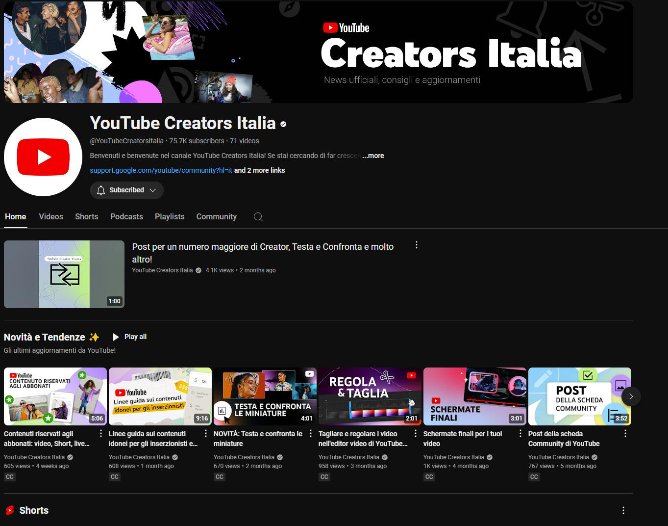 YouTube Creators Italia Channel - Launched and managed the YouTube Creators Italia channel growing it to 70,000+ subscribers, approving and signing off scripts, advertising, talents, cross-functional collabs and filming